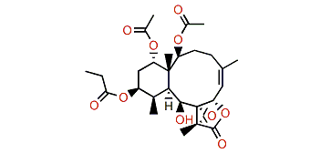 Excavatolide W